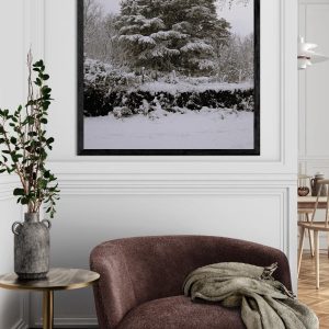 Fotografía artística de un cedro del Líbano en blanco y negro