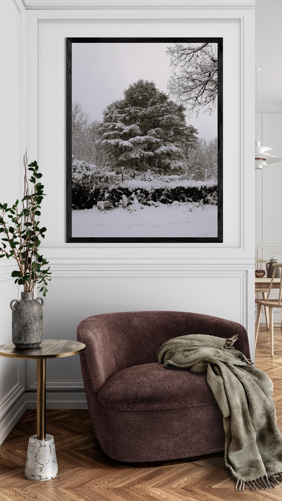 Fotografía artística de un cedro del Líbano en blanco y negro