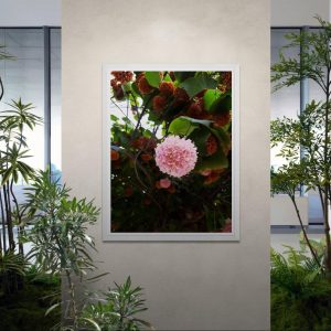 Fotografía en lamina de flor de ladobeta wall