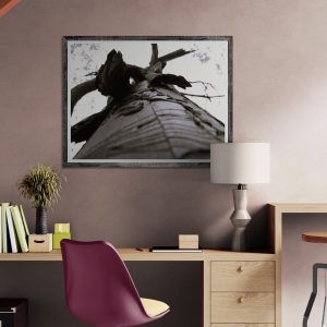 Fotografía artística de un tronco de eucalipto