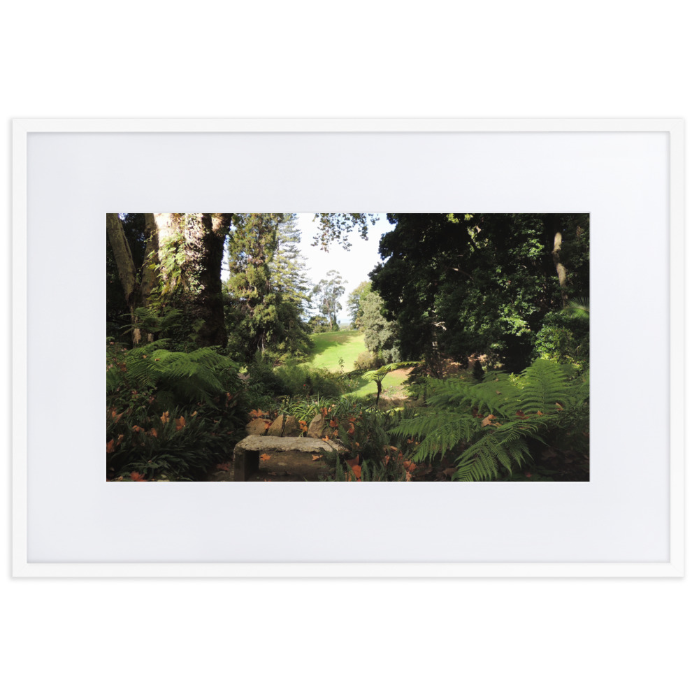 Fotografia en color Jardin de sintara