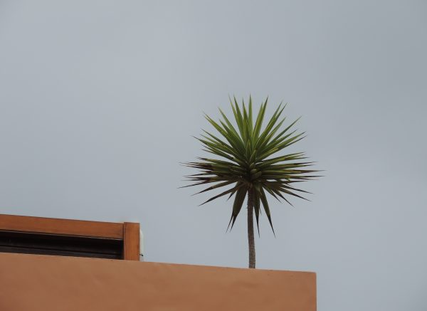 "Minimalismo" - Imagen 4