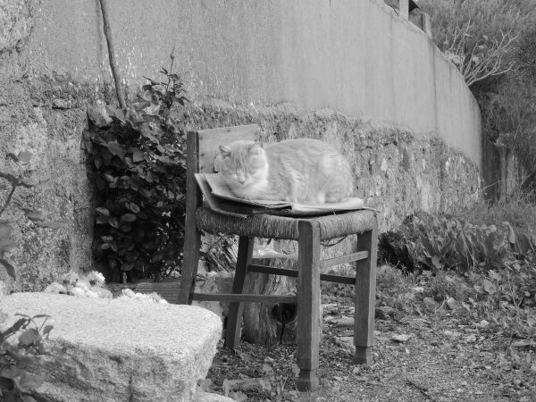 "Descanso Del Gato" - Imagen 4