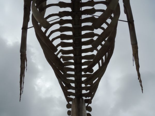 Fotografía artística de una estructura con forma de caja torácica vista desde abajo, enmarcada contra un cielo nublado, con estética minimalista y tono oscuro.