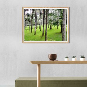 Bosque de palmeras – Fotografía artística para decoración tropical elegante