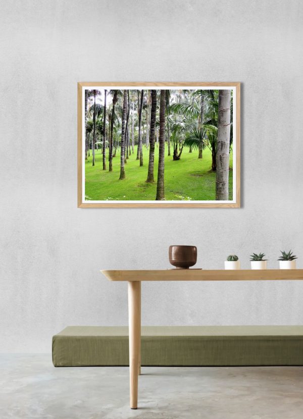 Bosque de palmeras – Fotografía artística para decoración tropical elegante