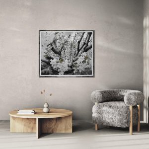 Fotografía artística en blanco y negro de ramas de árbol en flor vistas desde abajo, con retoques de color en los brotes, creando un efecto visual abstracto y poético.