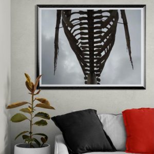 Fotografía artística de una estructura con forma de caja torácica vista desde abajo, enmarcada contra un cielo nublado, con estética minimalista y tono oscuro.