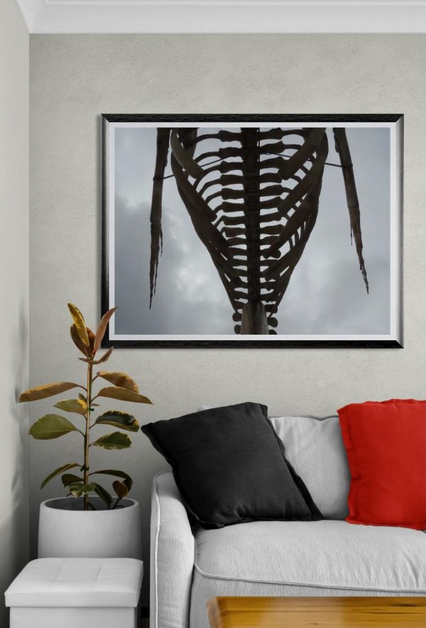 Fotografía artística de una estructura con forma de caja torácica vista desde abajo, enmarcada contra un cielo nublado, con estética minimalista y tono oscuro.