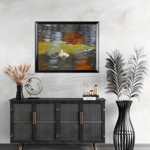 Fotografía artística de hojas flotando en agua tranquila – Decoración natural y serena