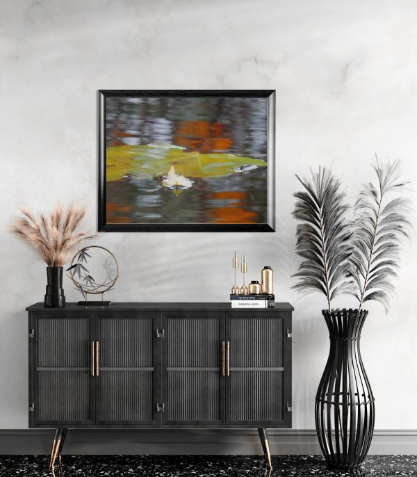 Fotografía artística de hojas flotando en agua tranquila – Decoración natural y serena