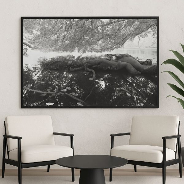 Fotografía artística en blanco y negro de raíces sobre agua en bosque natural