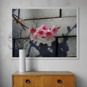 Sombra en flor – Fotografía artística de detalle floral para arte en casa