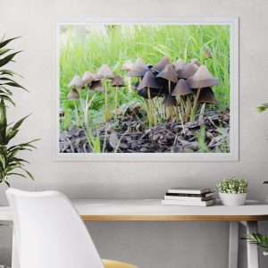 Fotografía artística de un grupo de hongos marrones creciendo entre hojas secas y hierba verde, enmarcada en una pared clara con plantas decorativas.