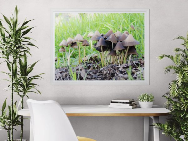 Fotografía artística de un grupo de hongos marrones creciendo entre hojas secas y hierba verde, enmarcada en una pared clara con plantas decorativas.