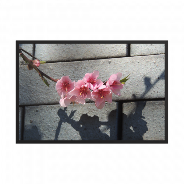 " Flor Rosa Y Gris" - Imagen 2