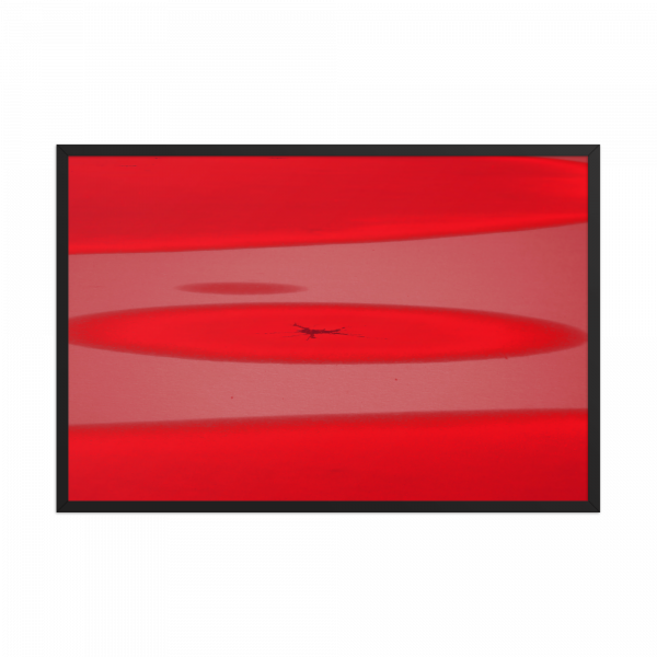 "Hielo Rojo " - Imagen 2