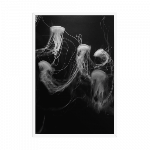 "Medusas" - Imagen 3