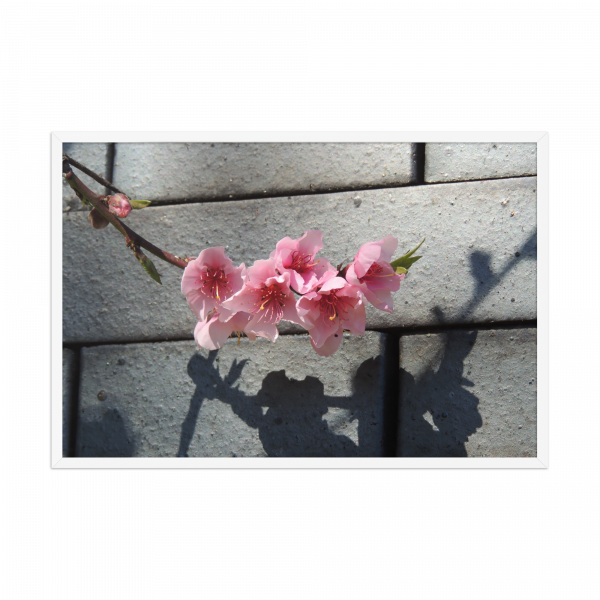 " Flor Rosa Y Gris" - Imagen 3