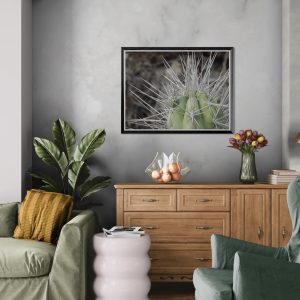 Fotografía artística de cactus en primer plano con espinas afiladas