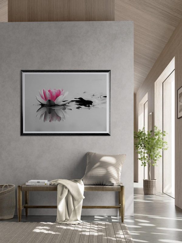 Fotografía artística de una flor de loto rosa sobre agua en blanco y negro, enmarcada y colgada en una pared de estilo minimalista y elegante.