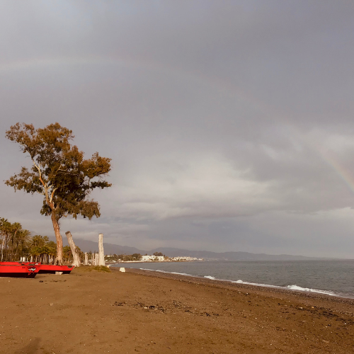 Playa en un día nublado de octubre con cielo gris y arena mojada